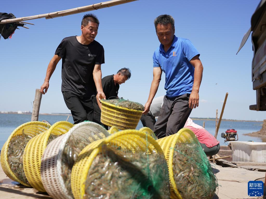 新濠天地赌场注册